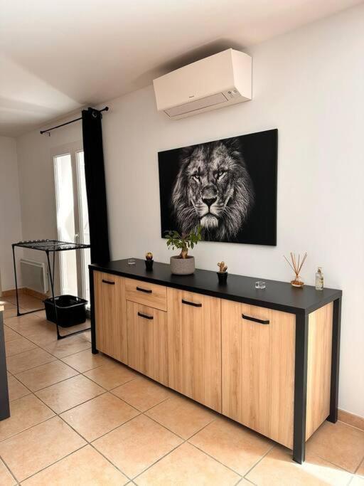 Lion House * Saint-Gilles (Gard)